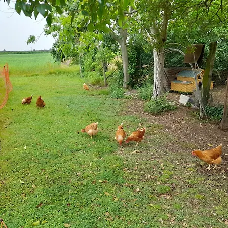 La Casa Dei Nonni *